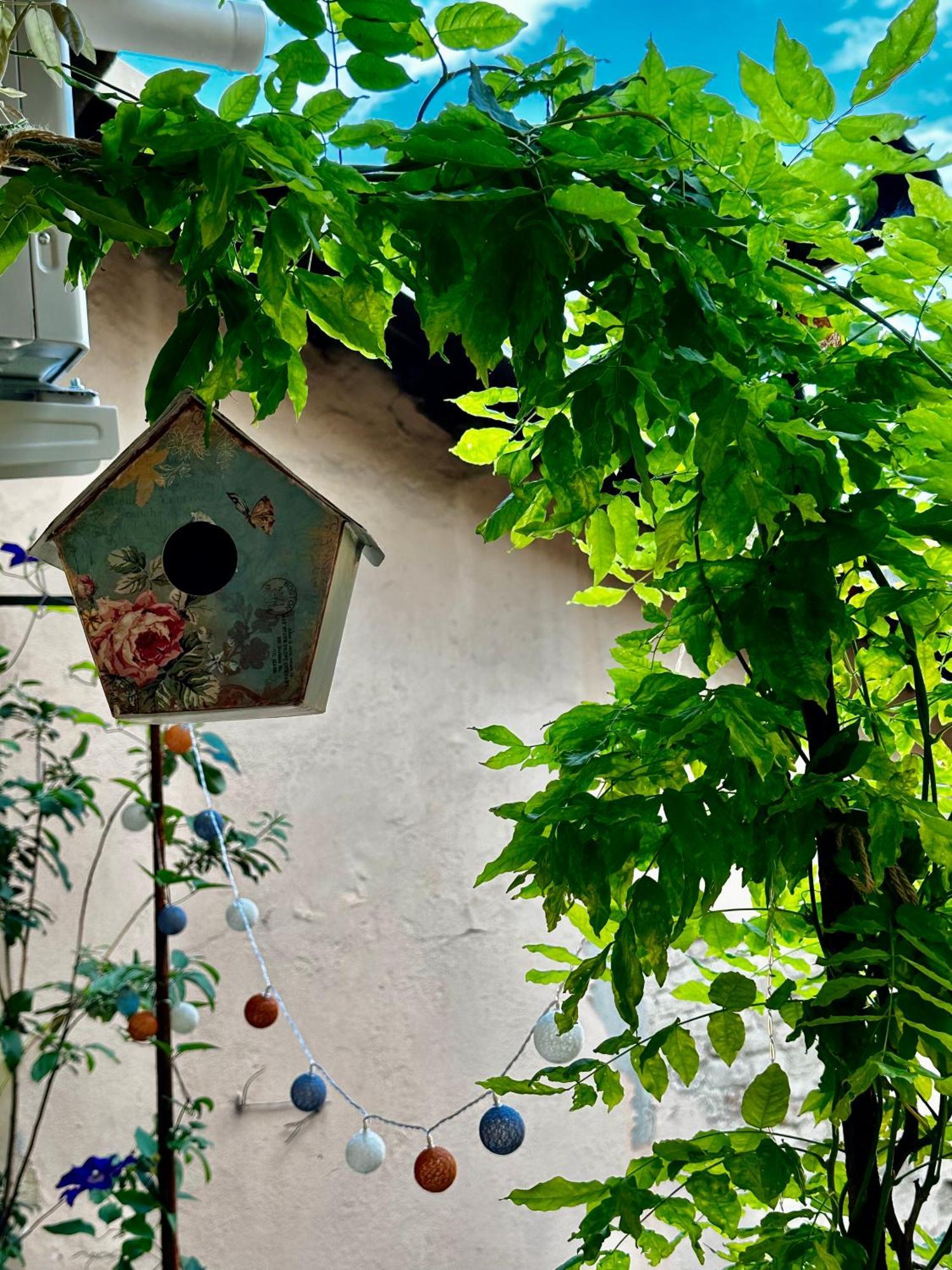 Il Balconcino Del Centro Storico Apartment Торино Екстериор снимка