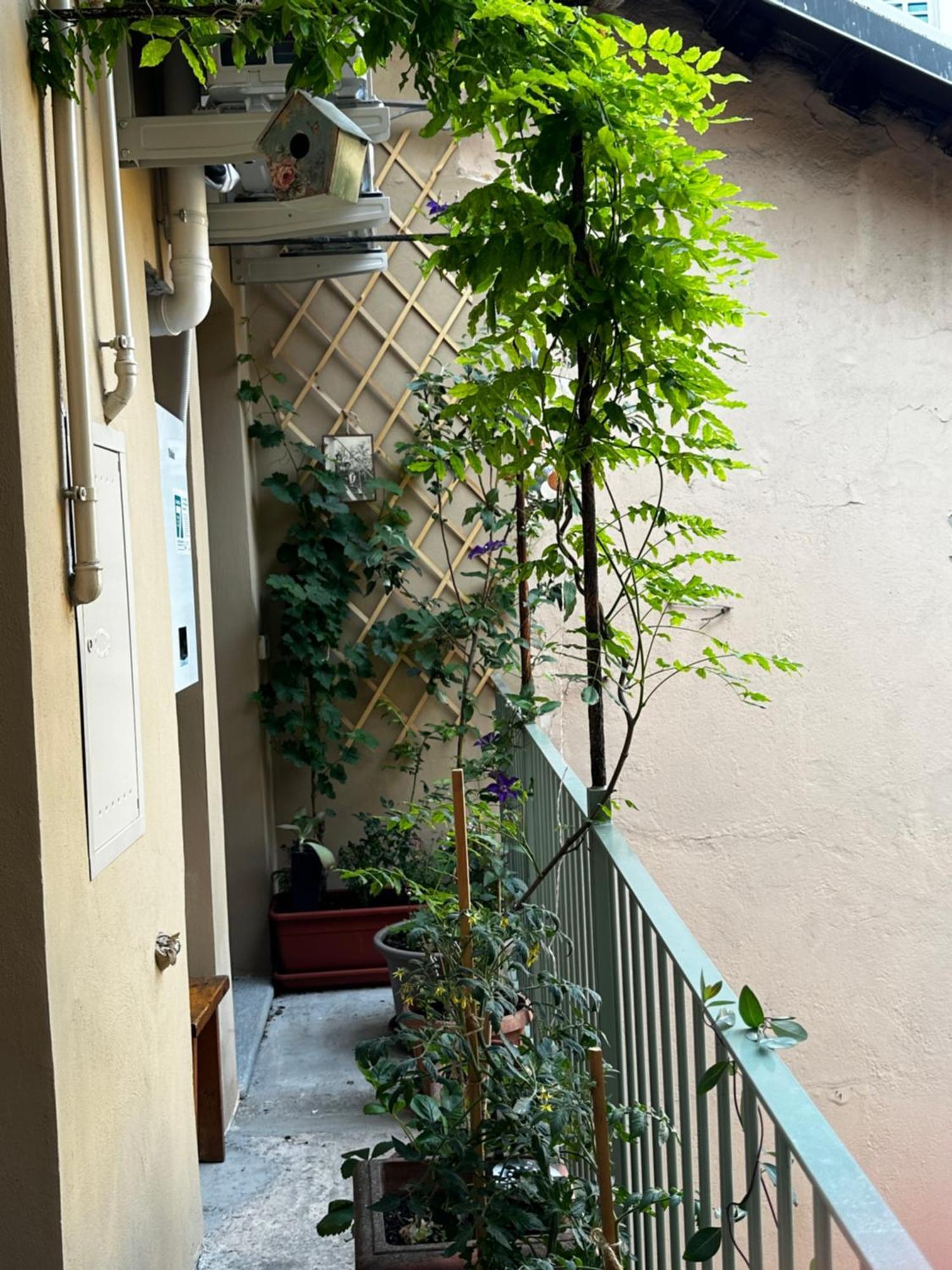 Il Balconcino Del Centro Storico Apartment Торино Екстериор снимка