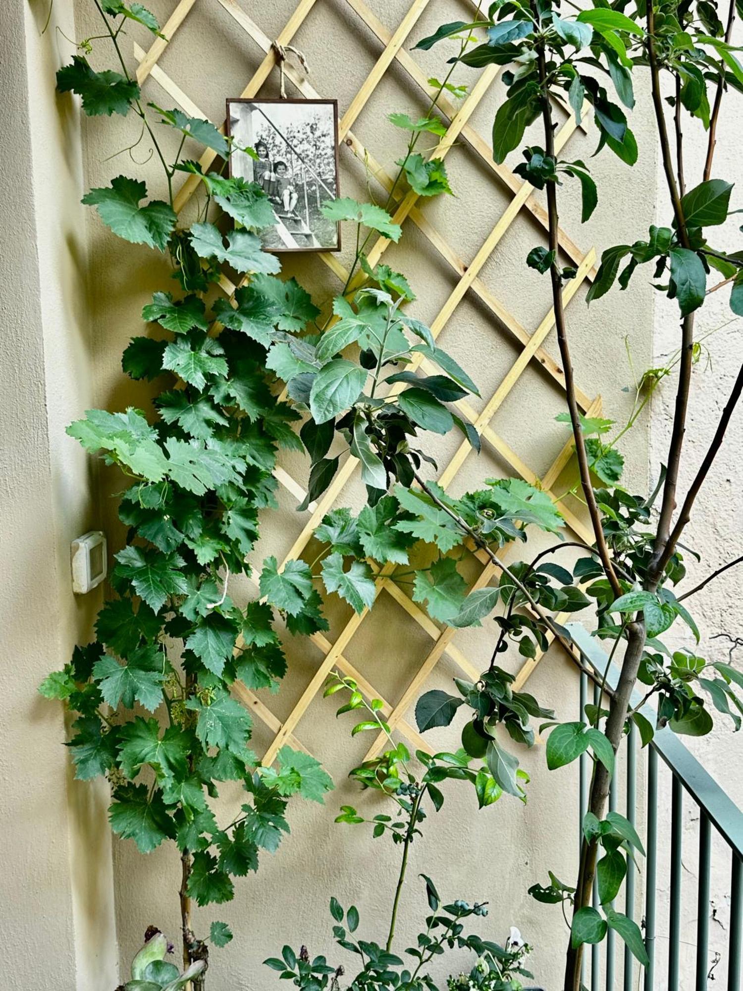 Il Balconcino Del Centro Storico Apartment Торино Екстериор снимка